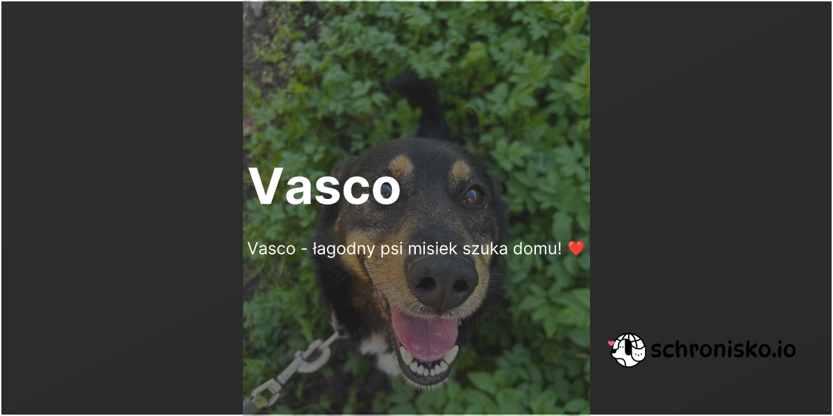 Zwierzę -Vasco