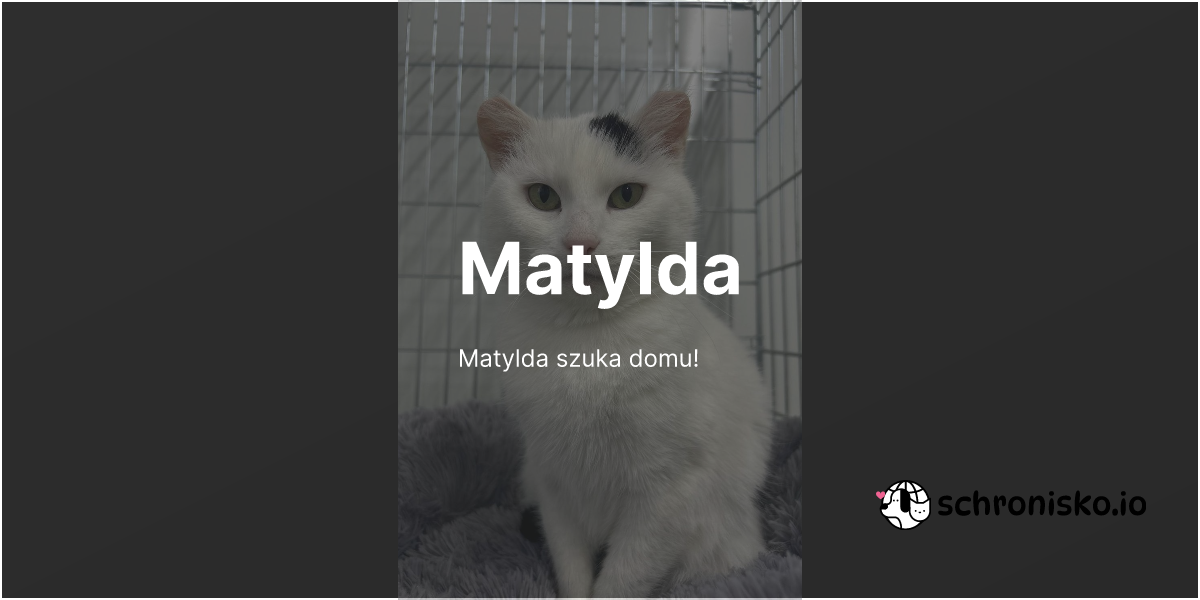 Zwierzę -Matylda