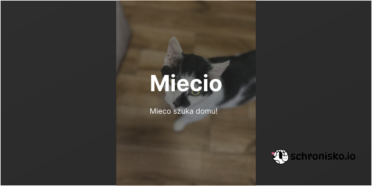 Zwierzę -Miecio